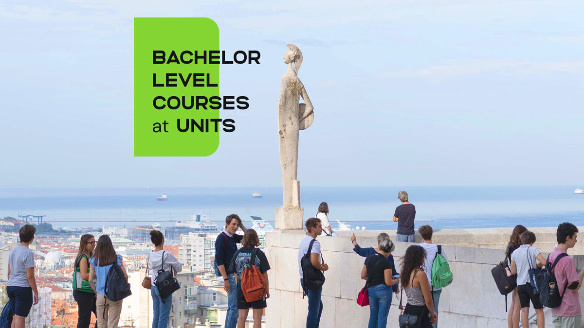 Bachelor tracks: find out what we are offering!